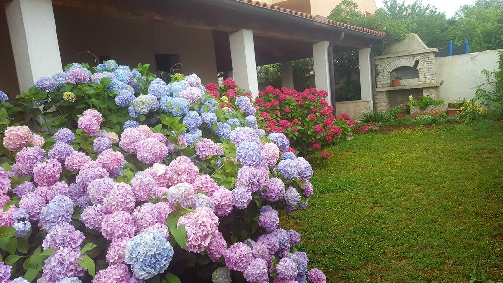 Bed & Breakfast Banjole Kültér fotó